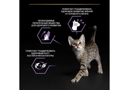 PRO PLAN KITTEN / Влажный корм Паучи ПРО ПЛАН для котят с индейкой в соусе (цена за упаковку)