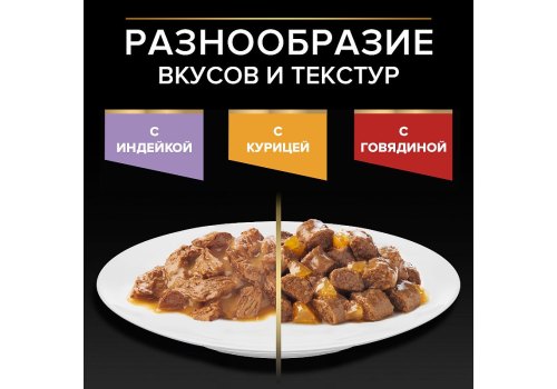 PRO PLAN KITTEN / Влажный корм Паучи ПРО ПЛАН для котят с индейкой в соусе (цена за упаковку)