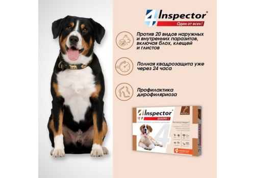 Inspector Quadro С / Капли Инспектор от Внешних и Внутренних паразитов для собак весом от 40 до 60 кг