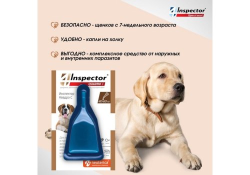 Inspector Quadro С / Капли Инспектор от Внешних и Внутренних паразитов для собак весом от 40 до 60 кг