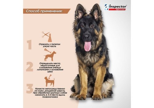 Inspector Quadro С / Капли Инспектор от Внешних и Внутренних паразитов для собак весом от 40 до 60 кг
