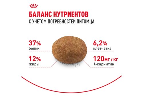 Royal Canin Sterilised / Сухой корм Роял Канин Стерилайзд для взрослых Кастрированных котов и Стерилизованных кошек в возрасте от 1 года до 7 лет