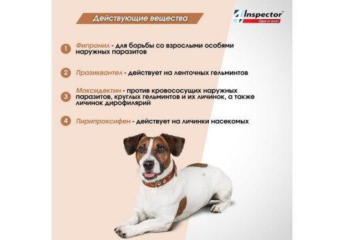 Inspector Quadro С / Капли Инспектор от Внешних и Внутренних паразитов для собак весом от 40 до 60 кг