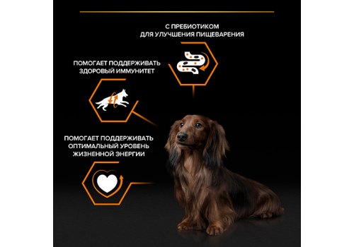 PRO PLAN EVERYDAY NUTRITION ADULT SMALL&MINI / Влажный корм Паучи ПРО ПЛАН для взрослых собак Мелких и Карликовых пород с Говядиной в соусе (цена за упаковку)