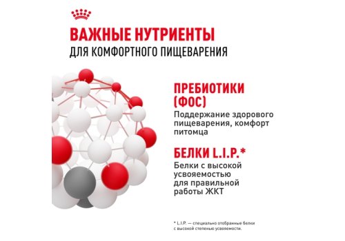 Royal Canin Sensible / Сухой корм Роял Канин Сенсибл для кошек с Чувствительным пищеварением