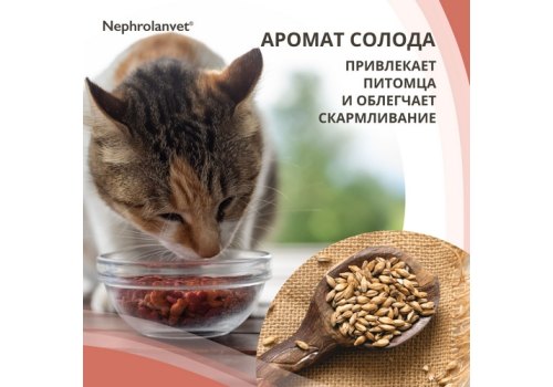 Нефроланвет / Паста для поддержания функции почек для кошек и собак