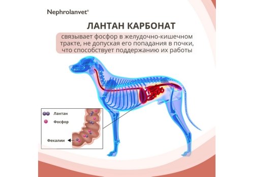 Нефроланвет / Паста для поддержания функции почек для кошек и собак