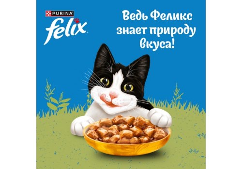 FELIX ПРИРОДА ВКУСА / Влажный корм Паучи Пурина Феликс Природа вкуса для взрослых кошек с курицей (цена за упаковку)