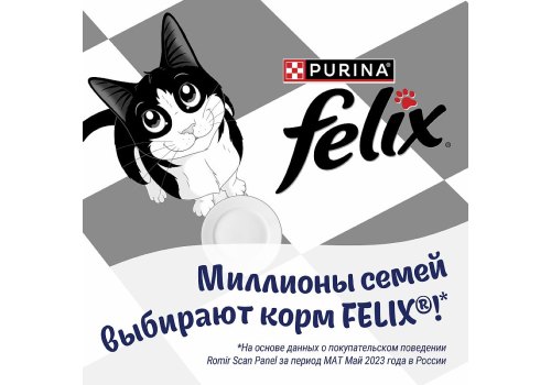FELIX ДВОЙНАЯ ВКУСНЯТИНА / Сухой корм Пурина Феликс для взрослых кошек с мясом