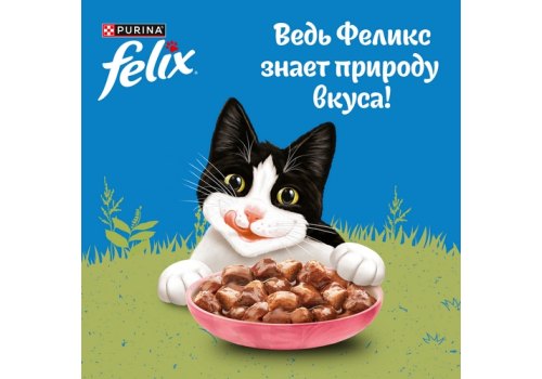 FELIX ПРИРОДА ВКУСА / Влажный корм Паучи Пурина Феликс Природа вкуса для взрослых кошек с лососем (цена за упаковку) FELIX ПРИРОДА ВКУСА / Влажный корм Паучи Пурина Феликс Природа вкуса для взрослых кошек с лососем (цена за упаковку)