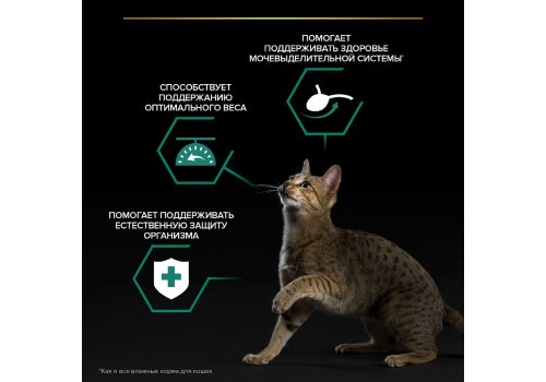 PRO PLAN STERILISED / Влажный корм Паучи ПРО ПЛАН для Стерилизованных кошек Ассорти вкусов Говядина в соусе Индейка в желе Океаническая рыба в соусе (цена за упаковку) PRO PLAN STERILISED / Влажный корм Паучи ПРО ПЛАН для Стерилизованных кошек Ассорти вкусов Говядина в соусе Индейка в желе Океаническая рыба в соусе (цена за упаковку)