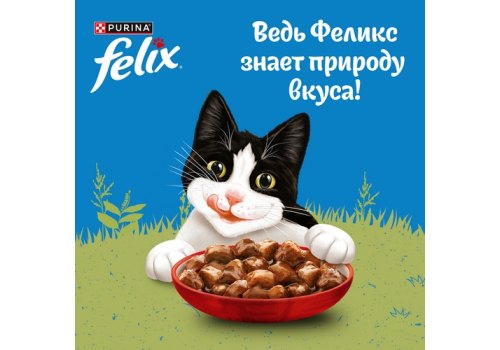 FELIX ПРИРОДА ВКУСА / Влажный корм Паучи Пурина Феликс Природа вкуса для взрослых кошек с говядиной (цена за упаковку)