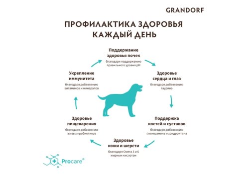 Grandorf Holistic & Hypoallergenic Adult Medium Maxi Probiotic 4 meat / Сухой корм Грандорф Низкозерновой с Живыми Пробиотиками для собак Средних и Крупных пород 4 вида Мяса