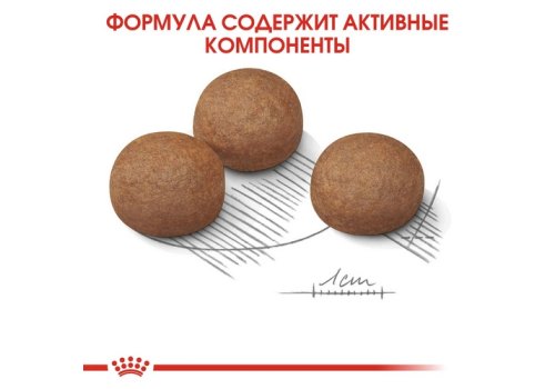 Royal Canin Maxi Digestive Care / Сухой корм Роял Канин Макси Дайджестив Кэа для собак Крупных пород с Чувствительным пищеварением Royal Canin Maxi Digestive Care / Сухой корм Роял Канин Макси Дайджестив Кэа для собак Крупных пород с Чувствительным пищеварением