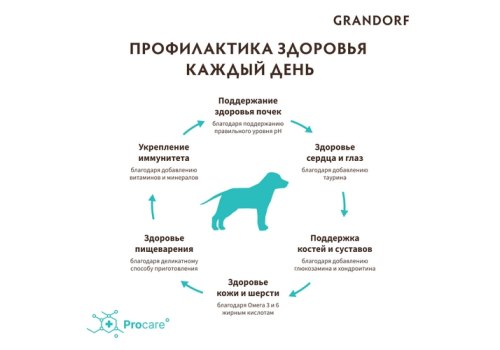 Grandorf Holistic & Hypoallergenic Junior Medium Maxi Lamb & Turkey / Сухой корм Грандорф Низкозерновой для Юниоров Средних и Крупных пород Ягненок Индейка