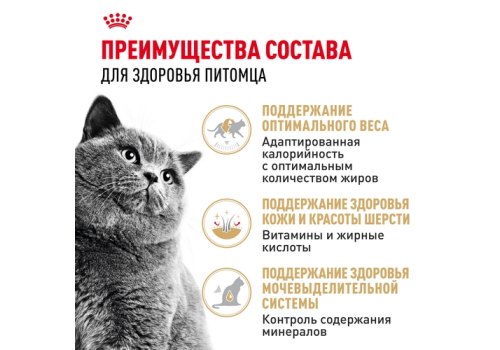 Royal Canin Breed cat British Shorthair / Влажный корм (Консервы-Паучи) Роял Канин для кошек породы Британская короткошерстная