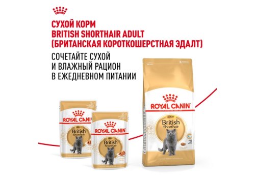 Royal Canin Breed cat British Shorthair / Влажный корм (Консервы-Паучи) Роял Канин для кошек породы Британская короткошерстная