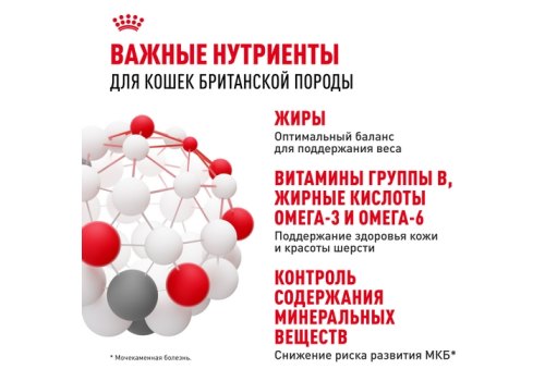 Royal Canin Breed cat British Shorthair / Влажный корм (Консервы-Паучи) Роял Канин для кошек породы Британская короткошерстная