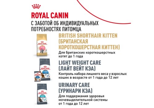 Royal Canin Breed cat British Shorthair / Влажный корм (Консервы-Паучи) Роял Канин для кошек породы Британская короткошерстная