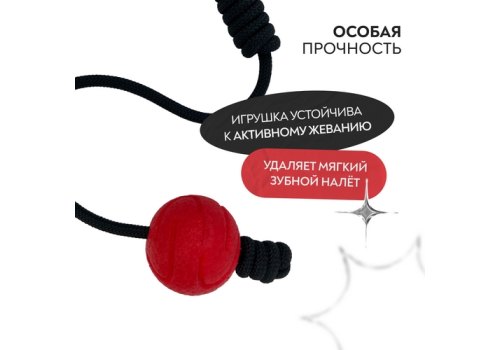 Mr.Kranch / Игрушка Мистер Кранч для собак Мяч на шнуре красный