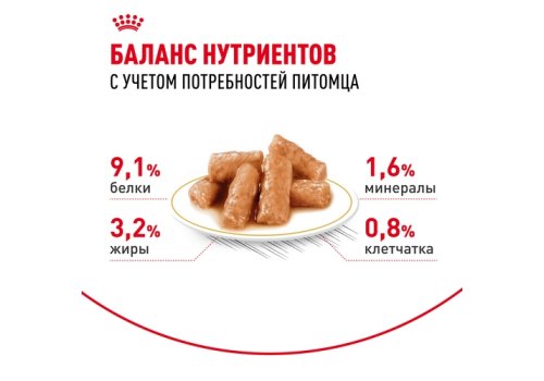 Royal Canin Breed cat British Shorthair / Влажный корм (Консервы-Паучи) Роял Канин для кошек породы Британская короткошерстная