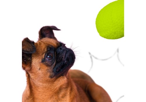 Mr.Kranch / Игрушка Мистер Кранч для собак Мяч-регби неоновая желтый