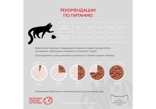 Enso / Влажный корм Паучи Энсо для взрослых кошек Лосось кусочки в соусе (цена за упаковку)