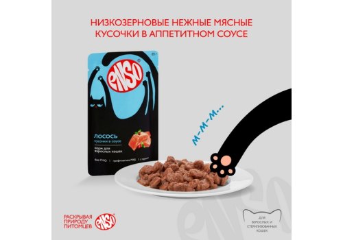 Enso / Влажный корм Паучи Энсо для взрослых кошек Лосось кусочки в соусе (цена за упаковку)