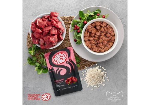 Enso / Влажный корм Паучи Энсо для взрослых кошек Говядина кусочки в соусе (цена за упаковку)
