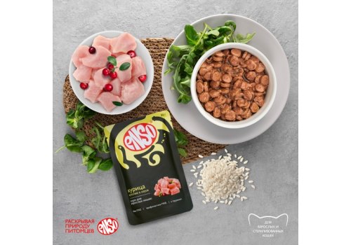Enso / Влажный корм Паучи Энсо для взрослых кошек Курица кусочки в соусе (цена за упаковку)