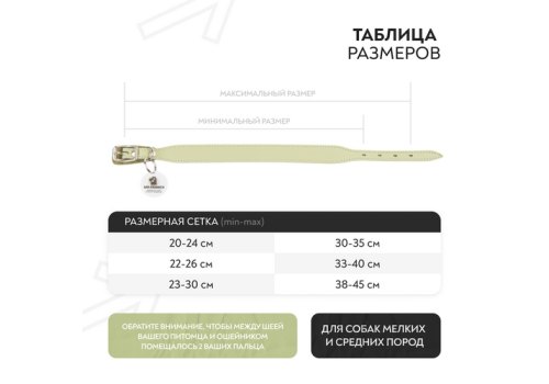 Mr.Kranch / Ошейник Мистер Кранч для собак из Натуральной кожи с QR-адресником Нежно-зеленый