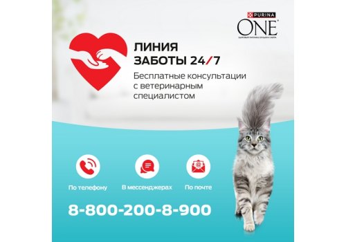 PURINA ONE / Влажный корм Паучи Пурина УАН для кошек особенно привередливых к вкусу индейка утка с морковью (цена за упаковку)