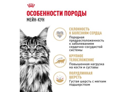 Royal Canin Breed cat Maine Coon / Влажный корм (Консервы-Паучи) Роял Канин для кошек породы Мэйн Кун