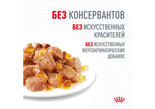 Royal Canin Hair & Skin Care Jelly / Влажный корм (Консервы-Паучи) Роял Канин Хэйр & Скин Кэа для кошек Здоровая кожа и шерсть в Желе (цена за упаковку)