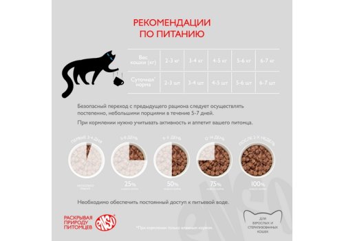 Enso / Влажный корм Паучи Энсо для взрослых кошек Говядина кусочки в соусе (цена за упаковку)