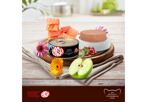 Enso / Влажный корм Консервы Энсо для взрослых кошек Паштет с Лососем и яблоком (цена за упаковку)