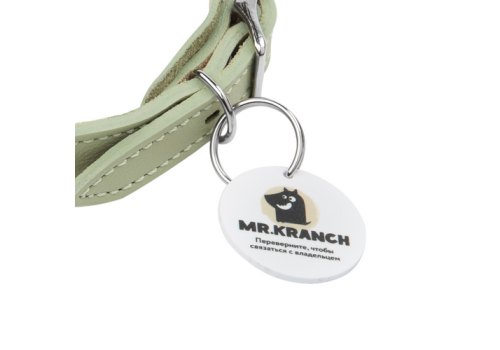 Mr.Kranch / Ошейник Мистер Кранч для собак из Натуральной кожи с QR-адресником Нежно-зеленый