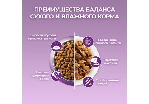 PURINA ONE / Влажный корм Паучи Пурина УАН для кошек особенно привередливых к вкусу индейка утка с морковью (цена за упаковку)