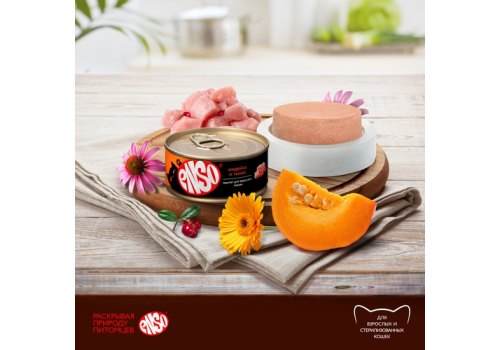 Enso / Влажный корм Консервы Энсо для взрослых кошек Паштет с Индейкой и тыквой (цена за упаковку)