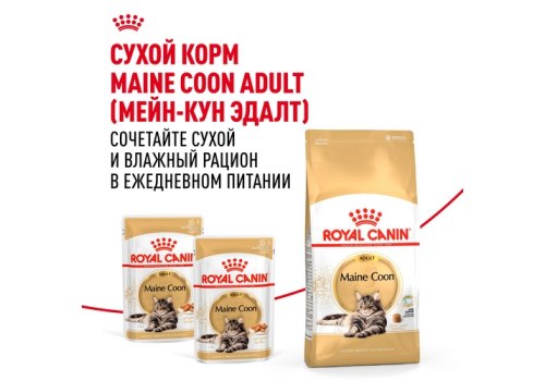 Royal Canin Breed cat Maine Coon / Влажный корм (Консервы-Паучи) Роял Канин для кошек породы Мэйн Кун