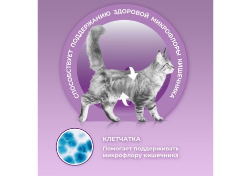 PURINA ONE / Влажный корм Паучи Пурина УАН для кошек особенно привередливых к вкусу индейка утка с морковью (цена за упаковку)