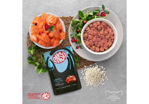 Enso / Влажный корм Паучи Энсо для взрослых кошек Лосось кусочки в соусе (цена за упаковку)