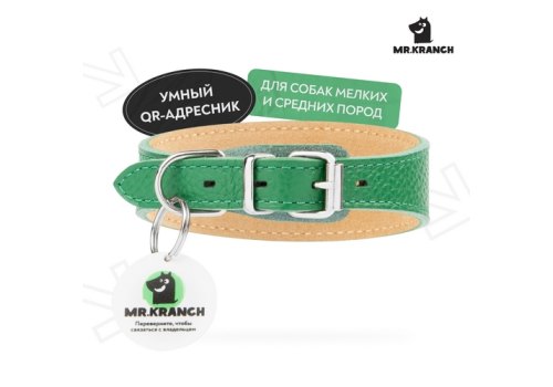 Mr.Kranch / Ошейник-cеледка Мистер Кранч для собак из Натуральной кожи с QR-адресником Зеленый