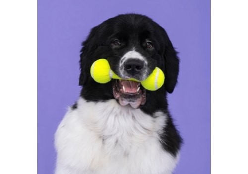 Mr.Kranch / Игрушка Мистер Кранч для собак Гантель большая желтая