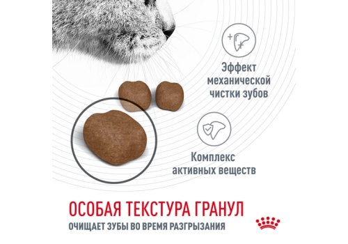 Royal Canin Dental Care / Сухой корм Роял Канин Дентал Кэа для кошек Уход за полостью рта Чистка зубов