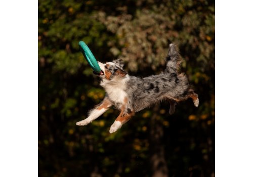 Mr.Kranch / Игрушка Мистер Кранч для собак Кольцо диаметр бирюзовая