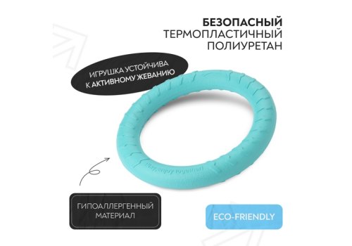 Mr.Kranch / Игрушка Мистер Кранч для собак Кольцо диаметр бирюзовая