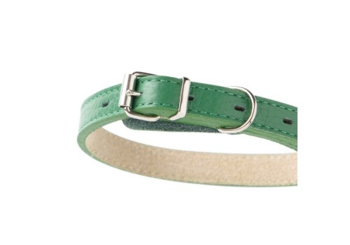 Mr.Kranch / Ошейник Мистер Кранч для собак из Натуральной кожи Прямой Зеленый