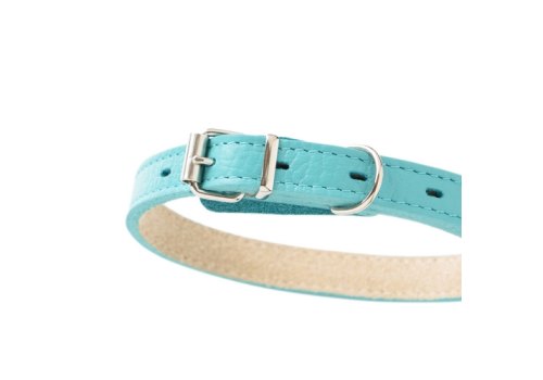 Mr.Kranch / Ошейник Мистер Кранч для собак из Натуральной кожи Прямой Бирюзовый
