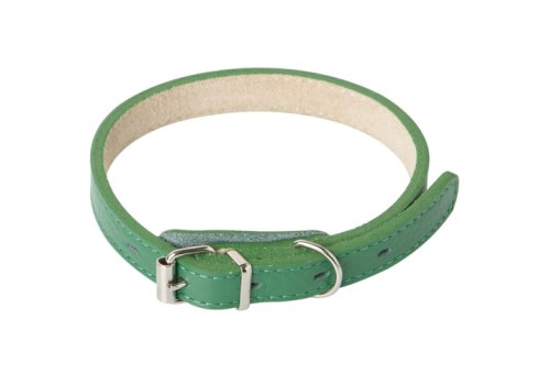 Mr.Kranch / Ошейник Мистер Кранч для собак из Натуральной кожи Прямой Зеленый